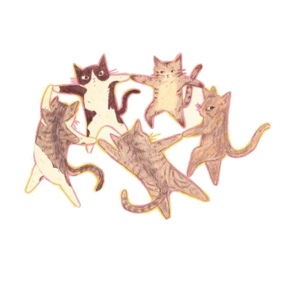 Tančící kočky